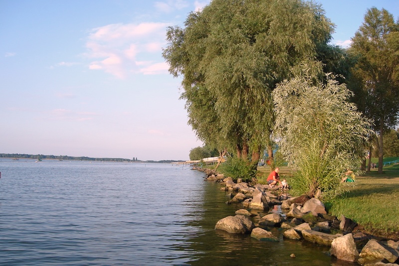 Tisza-tó