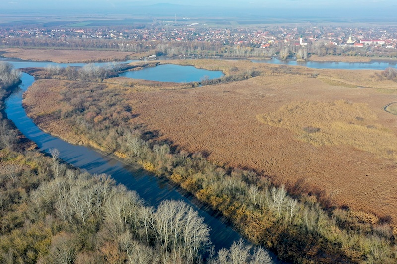 Tisza-tó