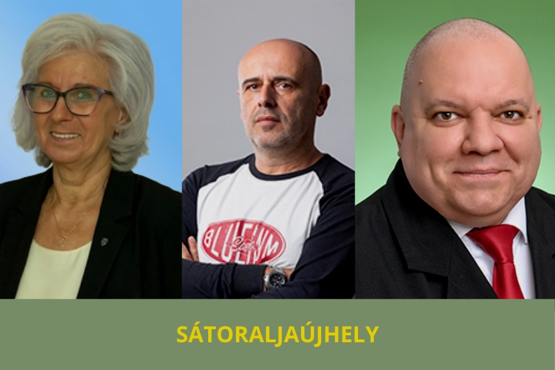 időközi választás - 2024. december