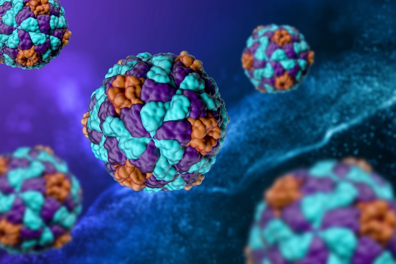 hepatitis a